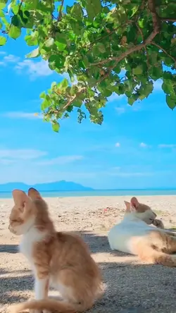 好期待 期待有你的夏天 每天都會是好心情