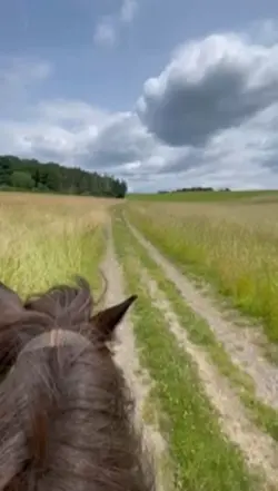 RUNNING💞☺️(fake⚠️)