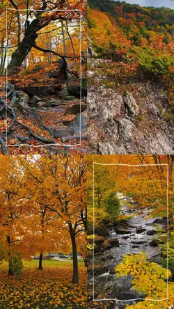 autumn🍂