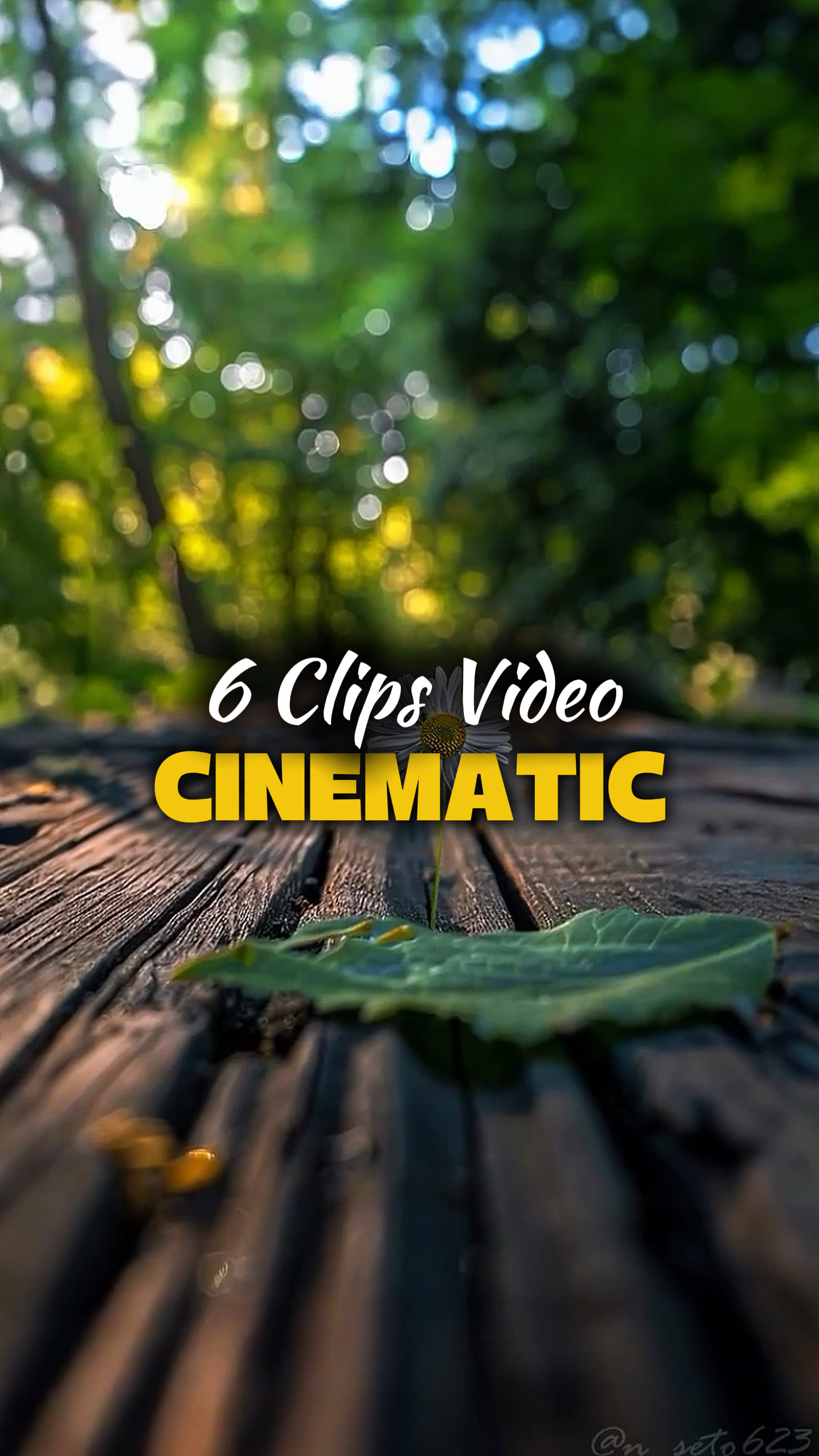 6 vidéos cinématiques 