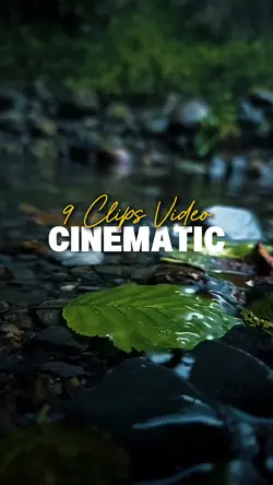 9 Clips Video 