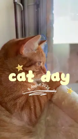 cat day