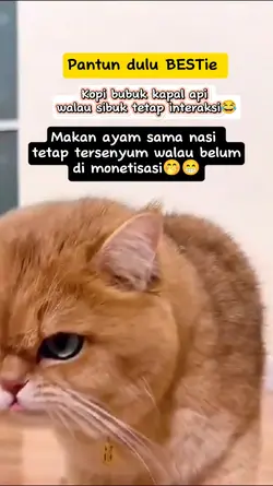 pantun fbpro