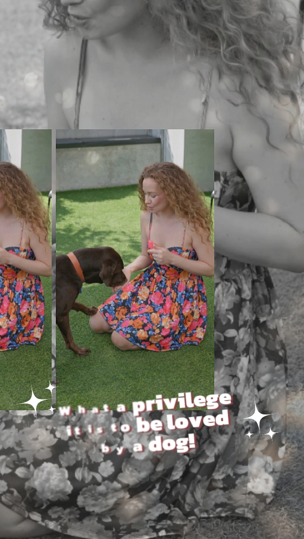 Dog Love