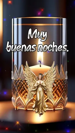 Bonita noche 