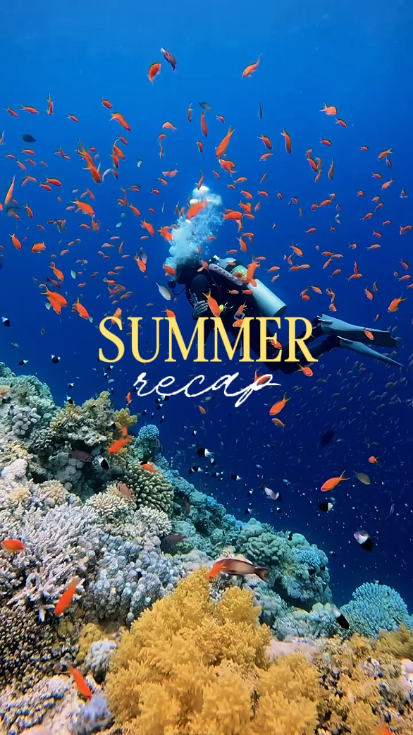 summer recap