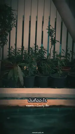ทรยศรัก
