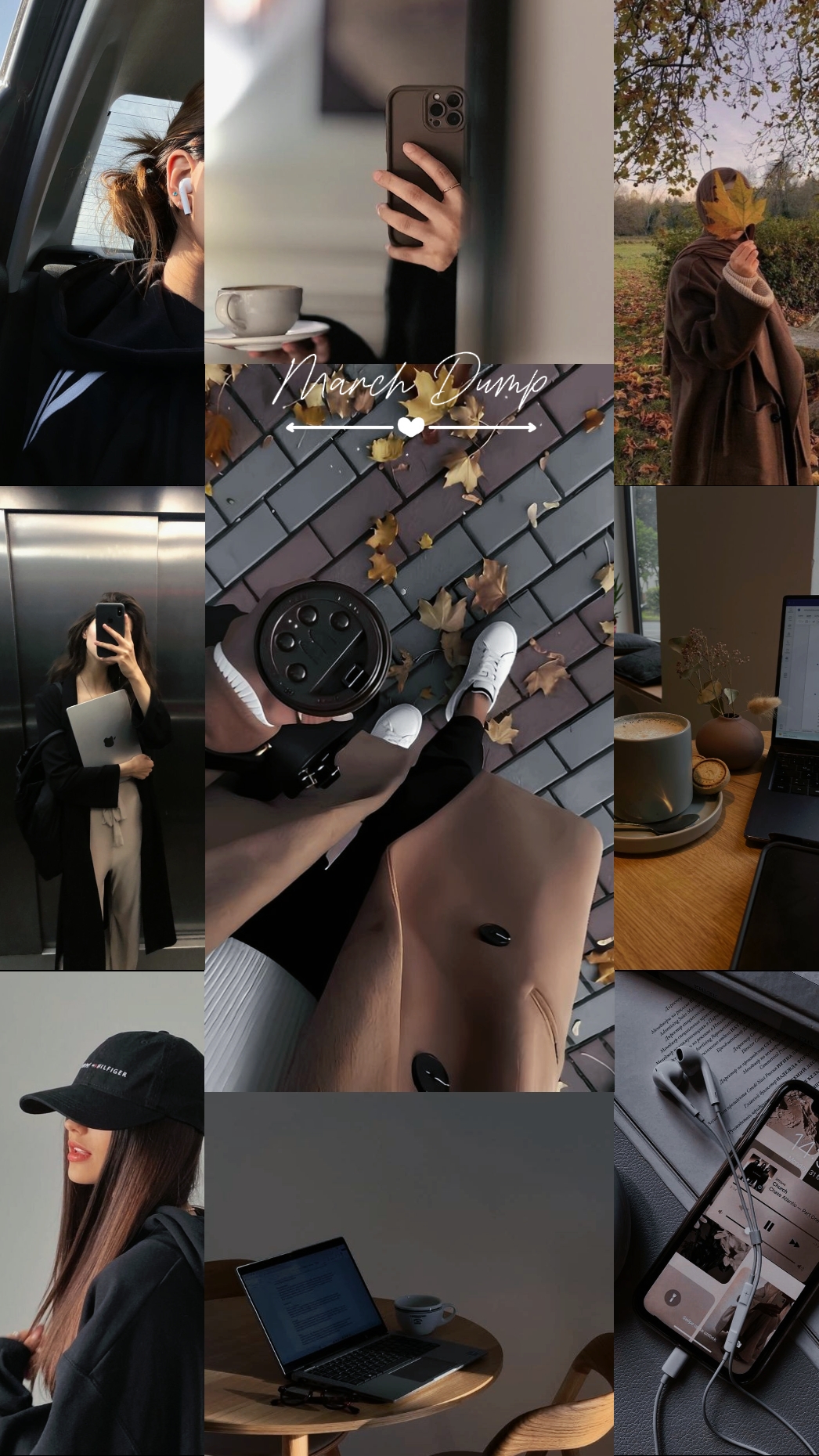 Cover Picture