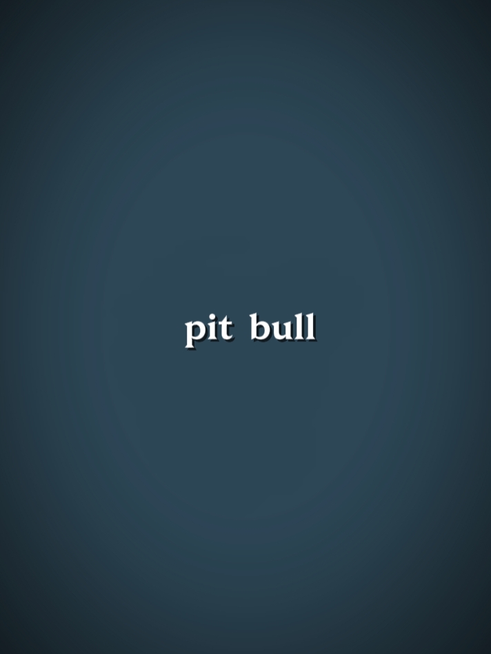 pit-bull