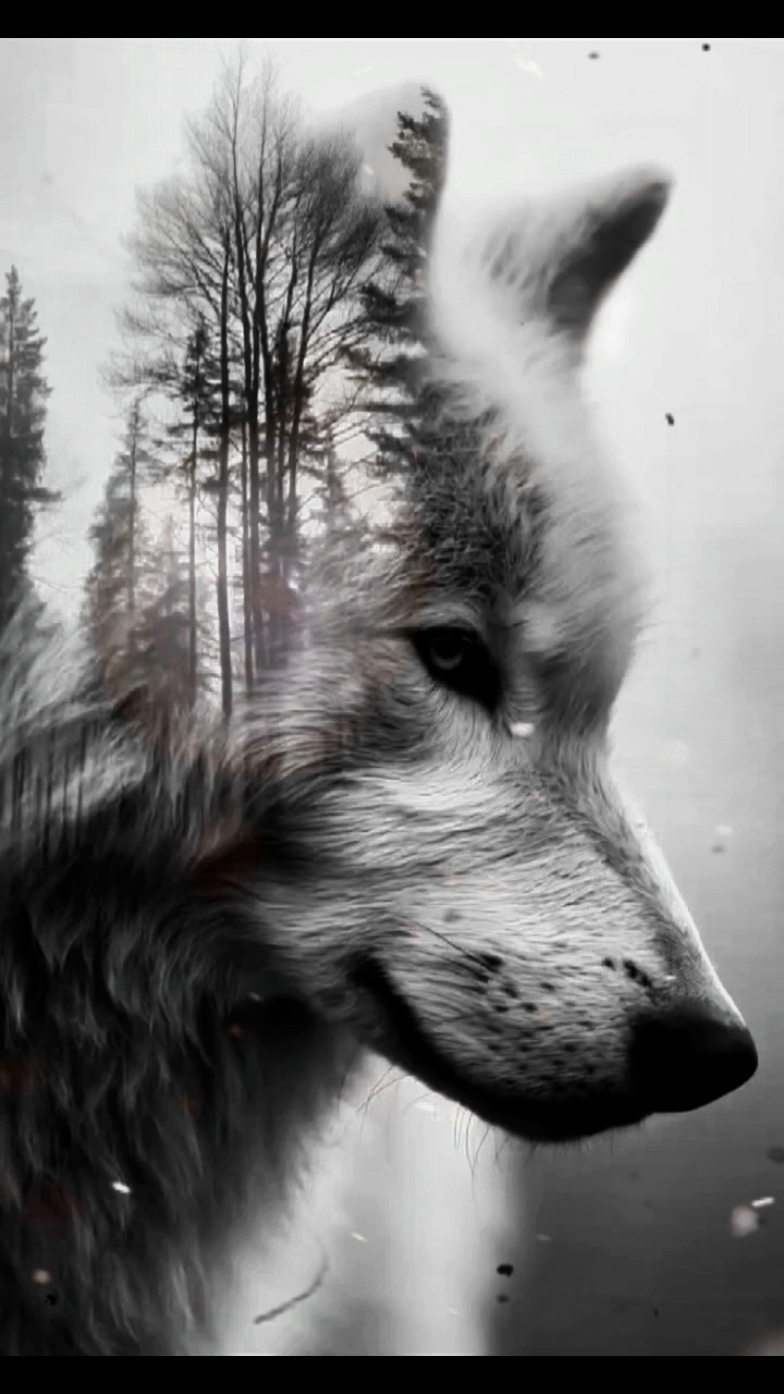 WOLF SPIRIT 