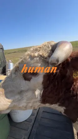 Learning to be Human