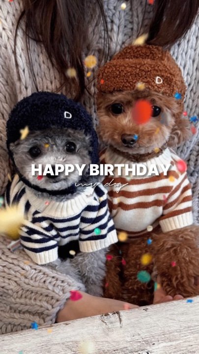 HPBD MY DOG