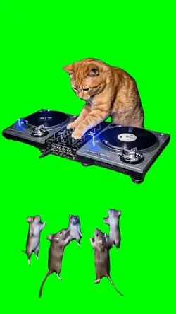 CAT DJ FOR MICE