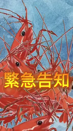バトル用告知エビシリーズ