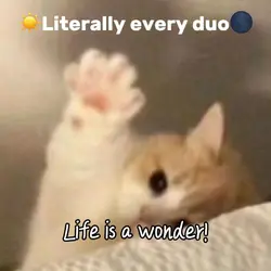 Life is a wonder!