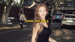 No pole lyrics 