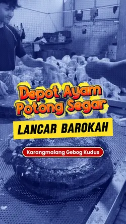 DEPOT AYAM SEGAR