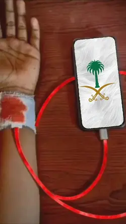 السعوديه في دمي