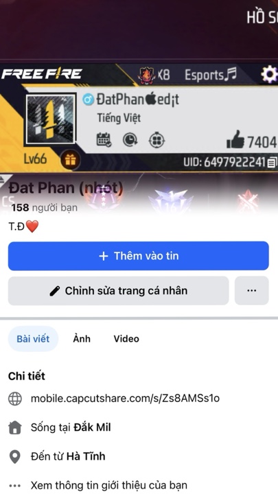 fb+ff