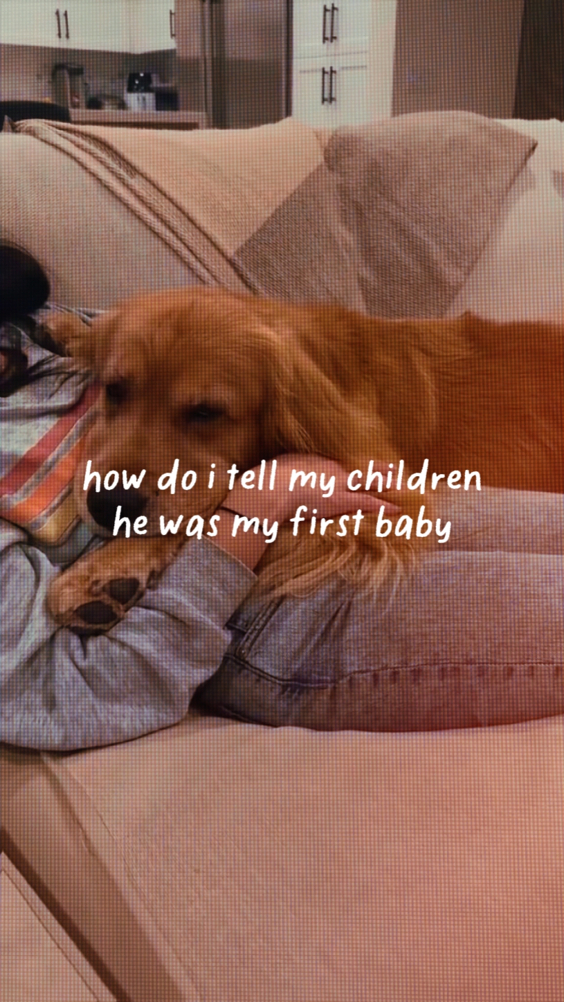 Hund ist mein erstes Baby