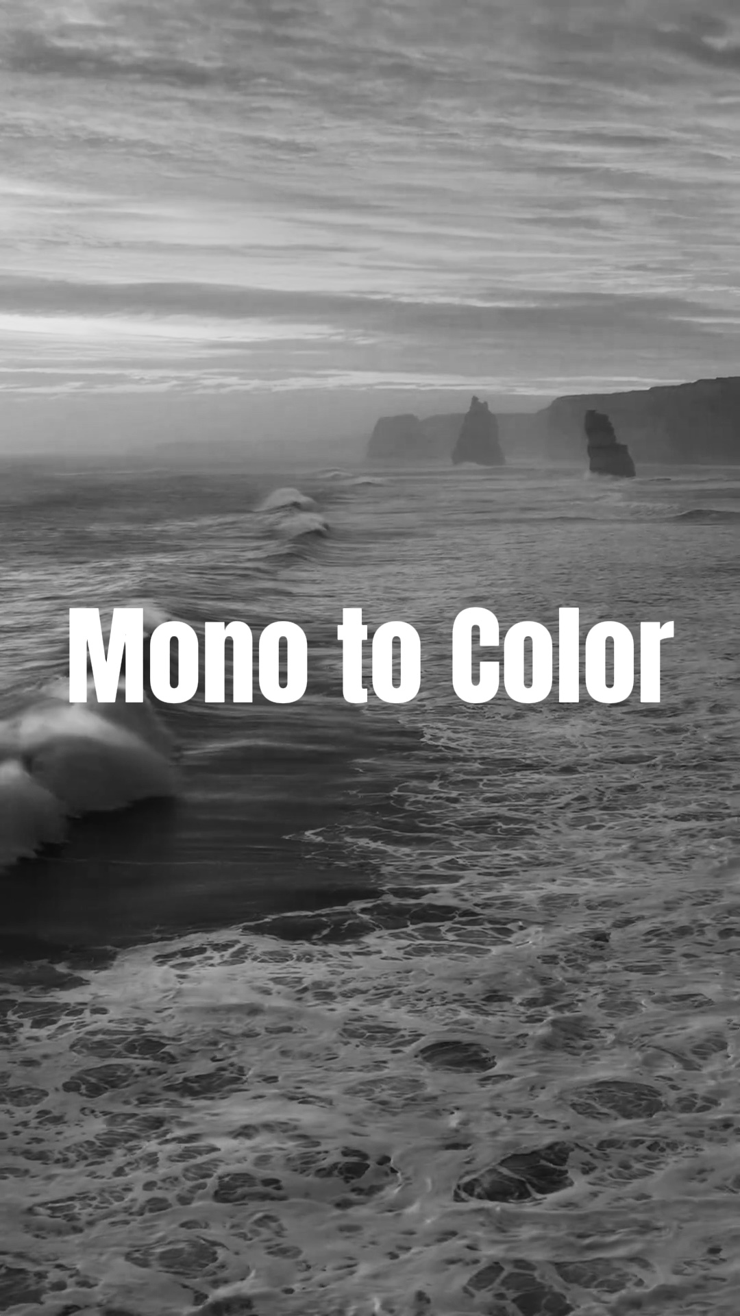 Revelación Mono 