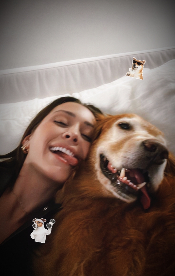 Süßer kleiner Hund