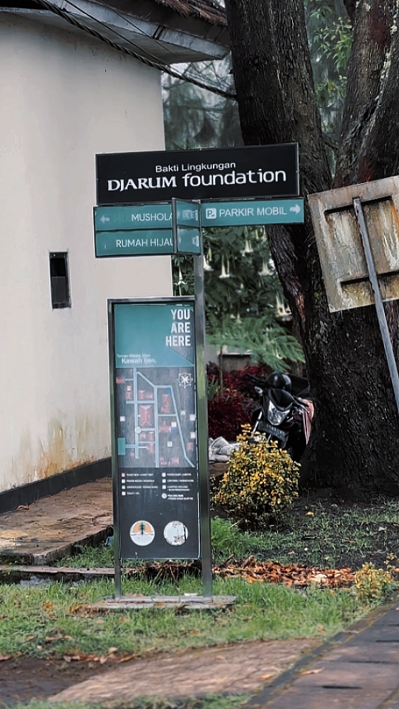 NO ERA AMOR