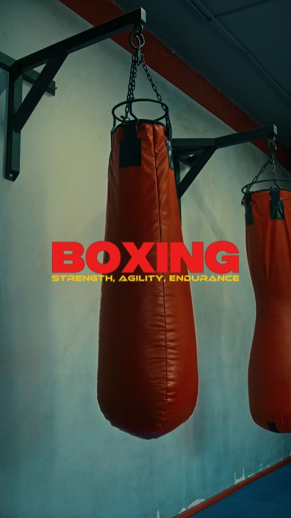 BOXE | MODIFICATION PRO
