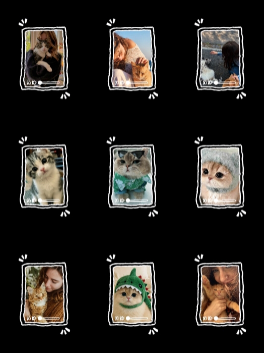 Katzengeschichten