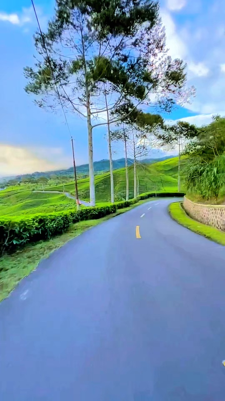 6 video carretera HD