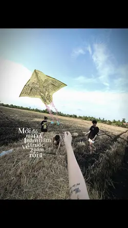 1 Ảnh + Màu