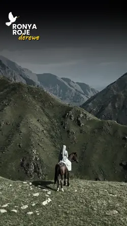 ŞEWEN VIR PIR TARÎNÊ