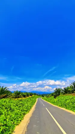 HD jernih
