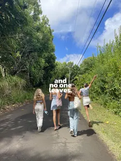 bsf template❤️