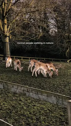 Normal people & me
