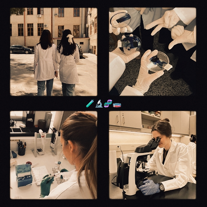 laboratory 