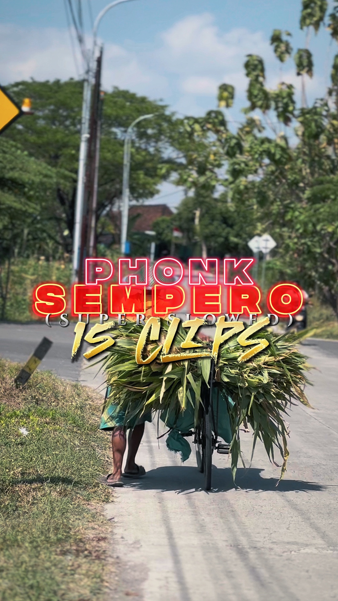 SEMPERO DE TELÉFONO HD 