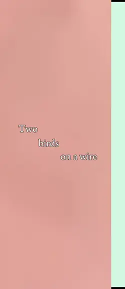 Two birds on a wire.