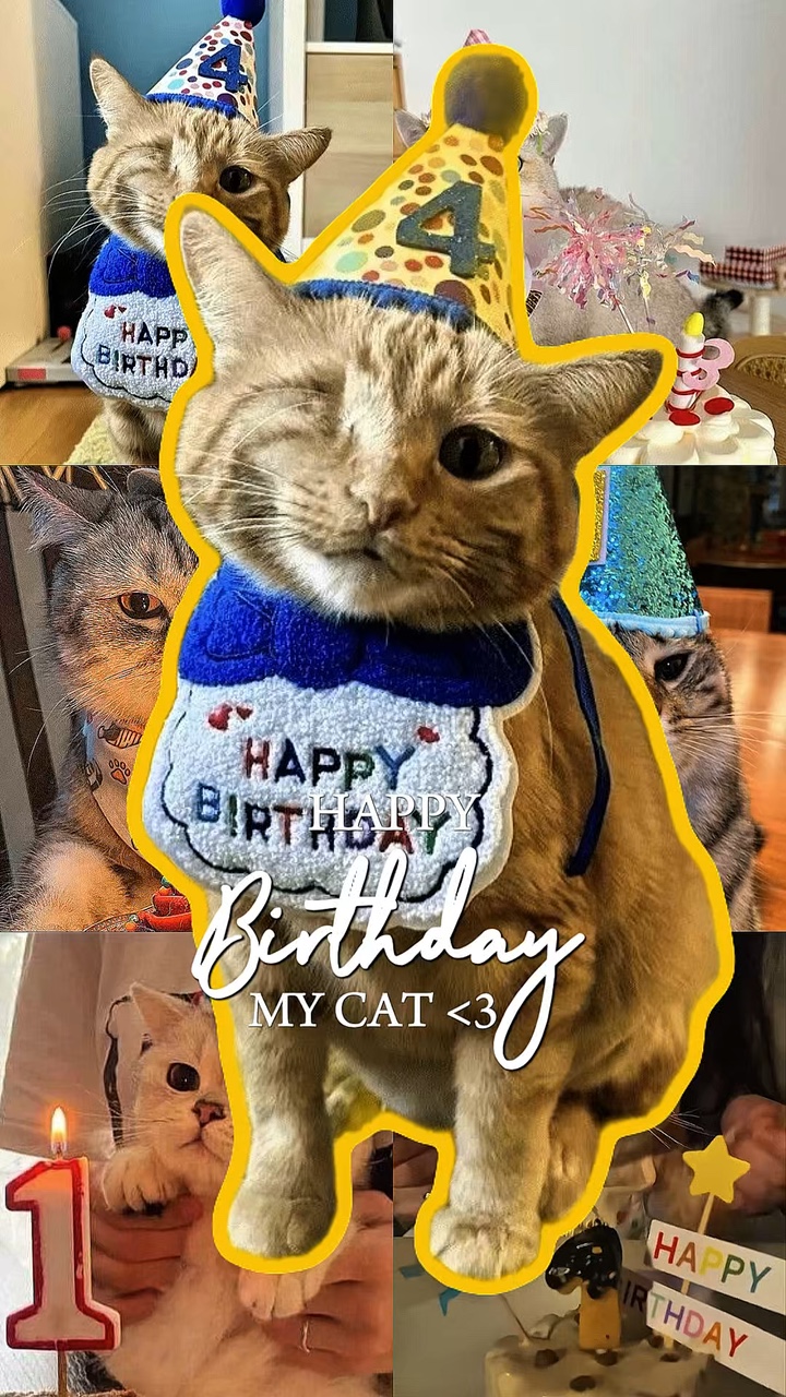 SELAMAT ULANG TAHUN KUCING SAYA