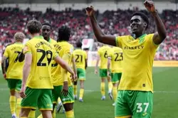 rating Norwich kit