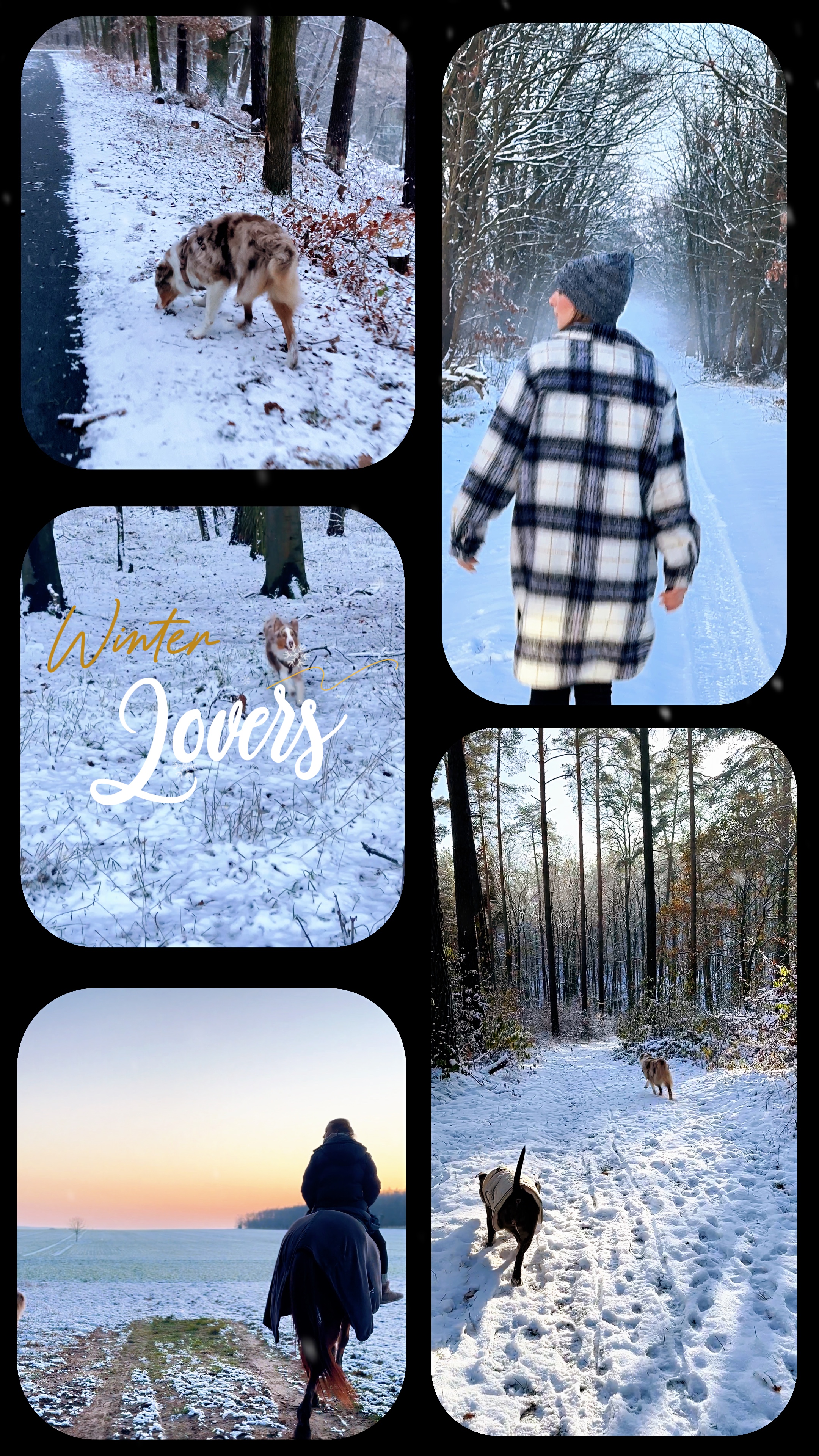 Winter lovers ❄️