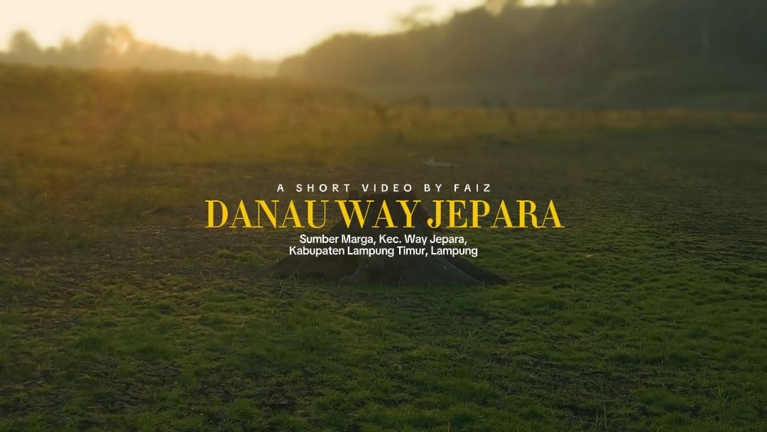 Landscape Video
