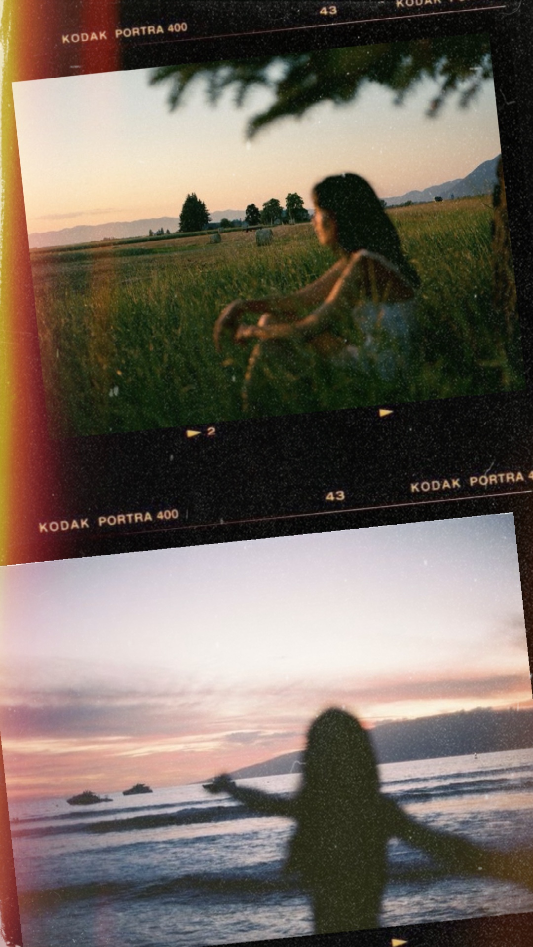 FILM-Fotografie