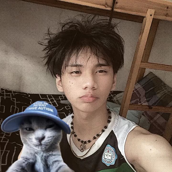 kucing rizz 