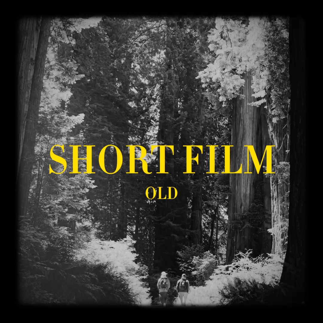 Cortometraje 