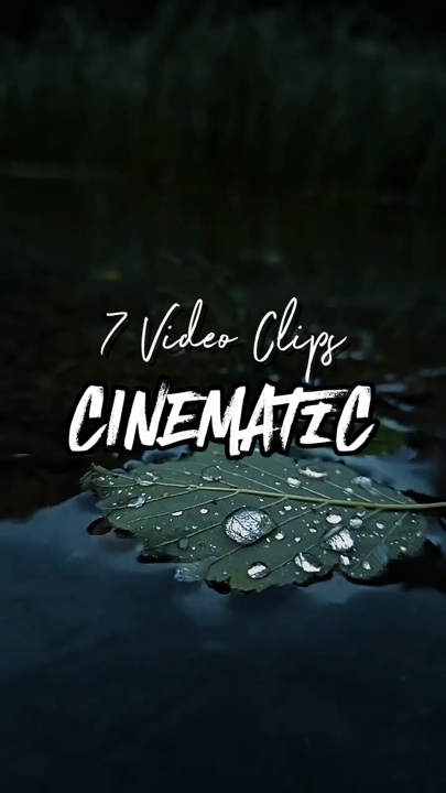 7 Video Clips 
