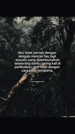 bahansw 