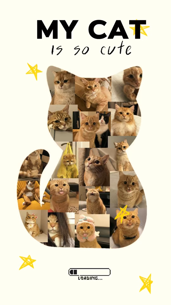 Meine Katze 
