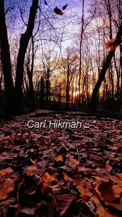 Cari Hikmahnya..