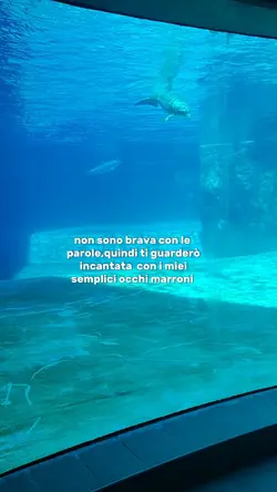 non sono brava